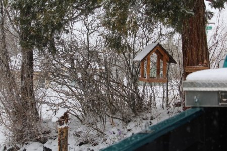 snow day.jpg3.jpg snow day.jpg3.jpg