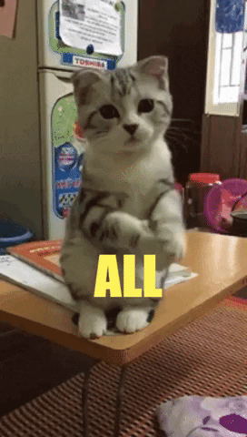 giphy (1).gif