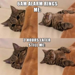 FB_IMG_1680168288542.jpg