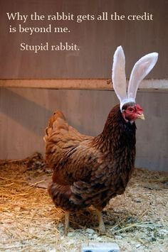 easter7.jpg