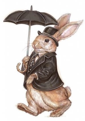 Bunny umbrella.jpg