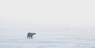 download (2).jpeg download (2).jpeg