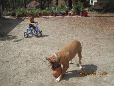 IMG_2968.JPG