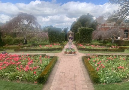 1680297428477.jpeg 1680297428477.jpeg