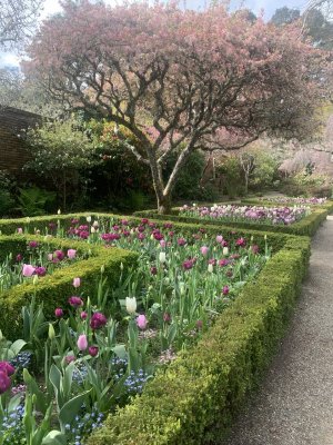 1680297524628.jpeg 1680297524628.jpeg