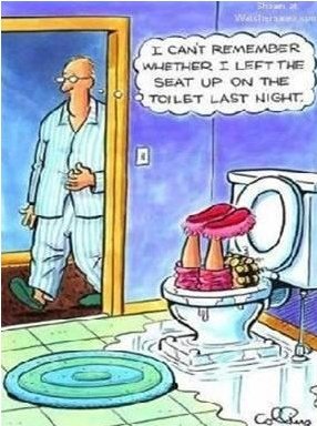 toiletseat.jpg