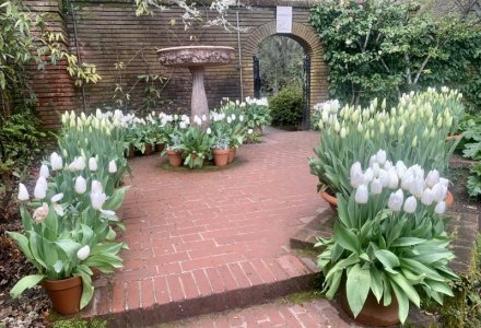 1680297667997.jpeg 1680297667997.jpeg