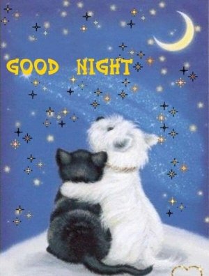 good night.jpg