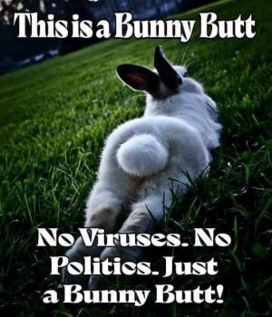 FB_IMG_1680329080624.jpg