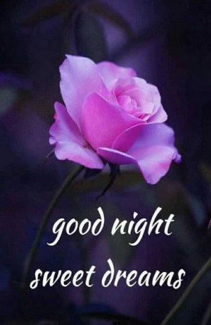 73c4289a19c4e1728a816bdaa4c8a65e.jpg