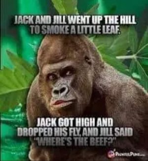 FB_IMG_1680344485473.jpg