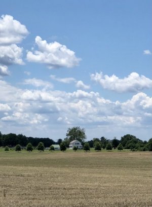 248AC9CC-AAF2-45C4-BFCA-8CBEB5A0FB14.jpeg