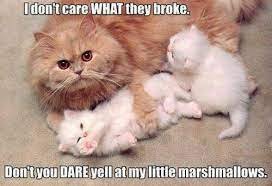 marshmallows.jpg