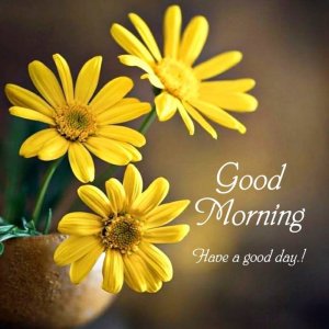 1_good-morning-images-Sohohindi.in_.jpg