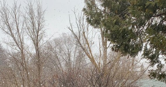 big snow.jpg