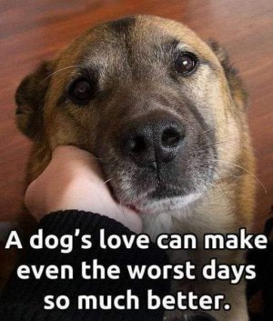 FB_IMG_1680395253010.jpg