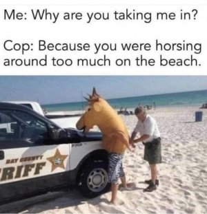 IMG_2104.jpeg