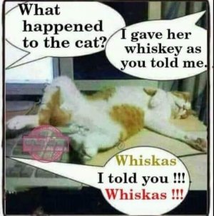 IMG_2107.jpeg