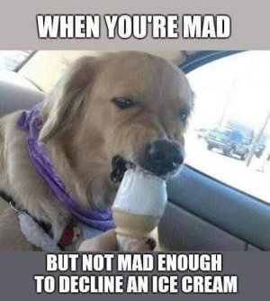 FB_IMG_1680434389673.jpg