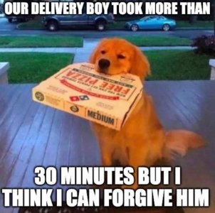 FB_IMG_1680442116364.jpg