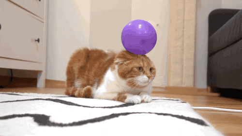 vQqx34.gif