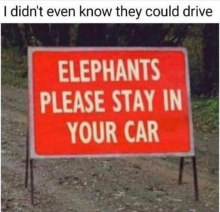 337037927_234006832356630_824153014999847122_n.jpg