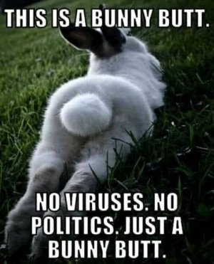 181d24054f0f754c7e67b378b29f6d71[1].jpg