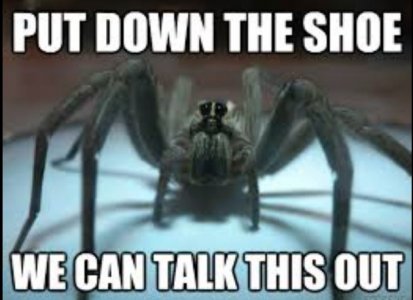 bug2.JPG