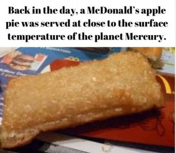 IMG_2126.jpeg