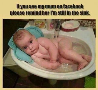IMG_2111.jpeg