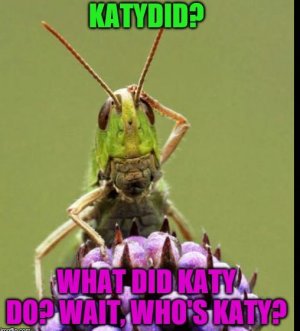 bug3.JPG
