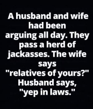 FB_IMG_1680559182567.jpg