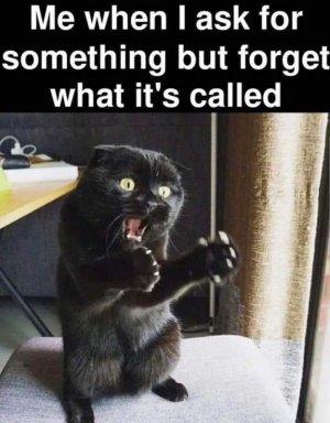 FB_IMG_1680559165019.jpg
