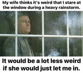 FB_IMG_1680559017903.jpg