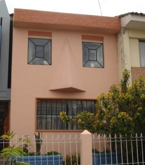 housefacewithnose.jpg