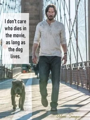 FB_IMG_1680560407554.jpg