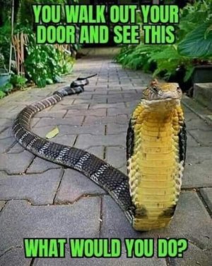 FB_IMG_1680560279076.jpg