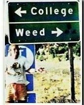 collegeweed.jpg