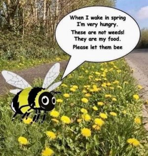 FB_IMG_1680560262675.jpg