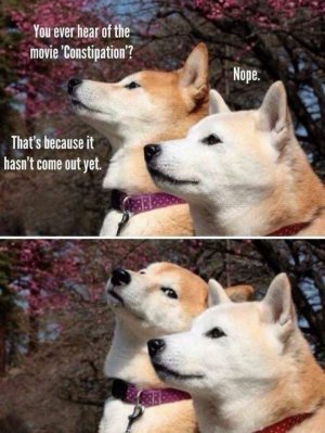 IMG_2148.jpeg