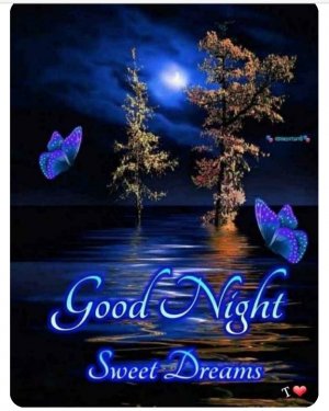 Good night blue.jpg
