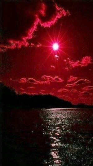 FB_IMG_1680579233282.jpg