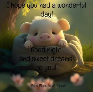 48be61633775bbd395f03a6a8dfef944[1].jpg