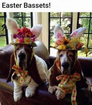 FB_IMG_1680581607916.jpg