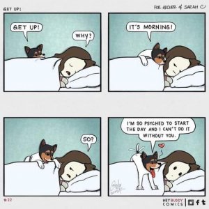 FB_IMG_1680559127670.jpg