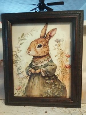 rabbit.jpg