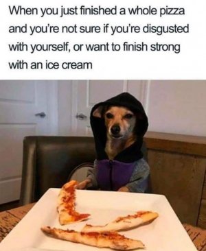 FB_IMG_1680558838414.jpg