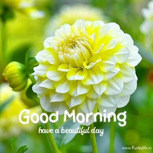13133fb44f96db9ecaa91e7cd8e47860.jpg