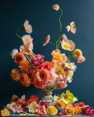 tumblr_8b9d67cf86f068aebedc0efe9a09070c_a0f25d2f_640.jpg