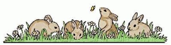 BUNNIES2.jpg